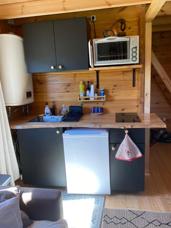 Kuchyň nebo kuchyňský kout v ubytování Chalet de La Peyramont