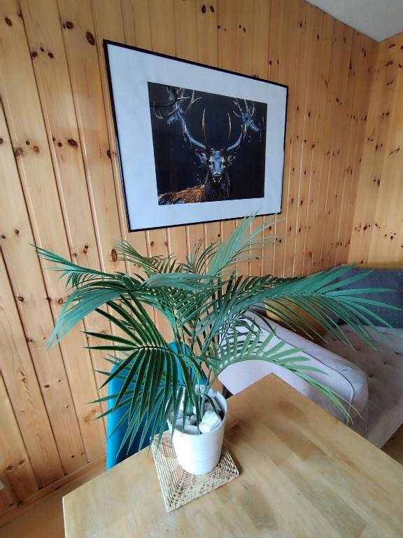 Superbe appartement au centre de la station - Resim 24