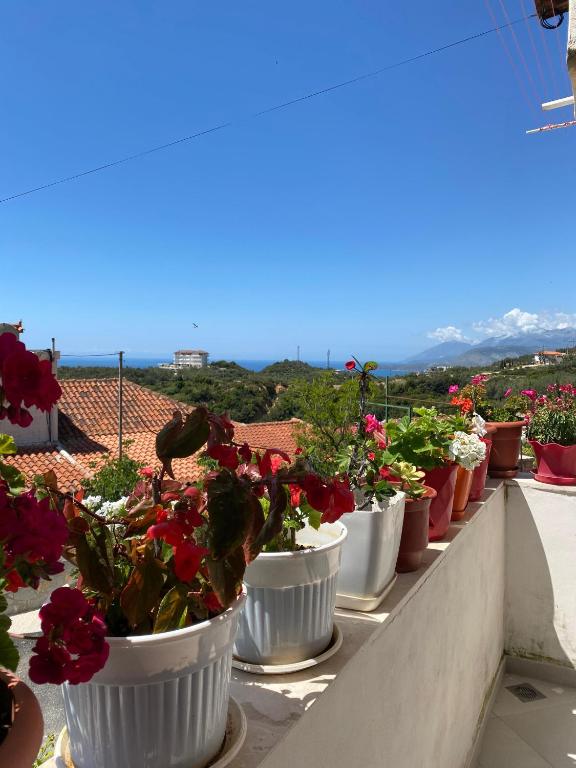 a row of potted plants on a balcony at Summerland Lukovë in Sarandë