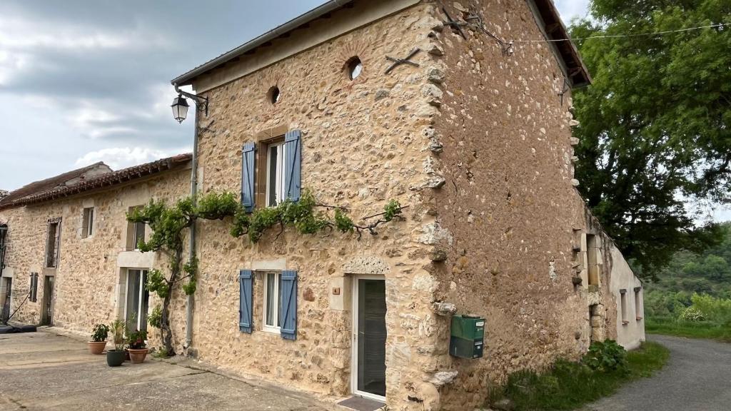 a stone building with blue windows and plants on it at Maison de campagne au calme in Mouzieys-Panens