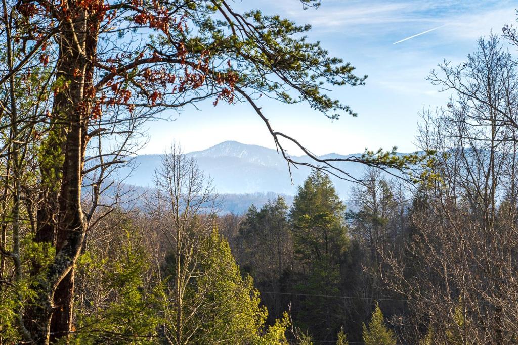 vistas a una montaña desde un bosque con árboles en Trail's End by Stony Brook Cabins, en Gatlinburg