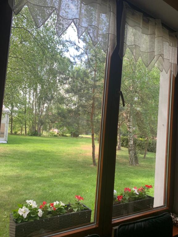 Zahrada ubytování Winnica De Sas