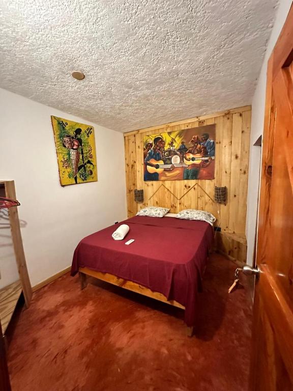 Postel nebo postele na pokoji v ubytování Hostel La Ballena Backpacker