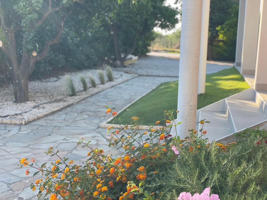 Zahrada ubytování Casa Posidonia