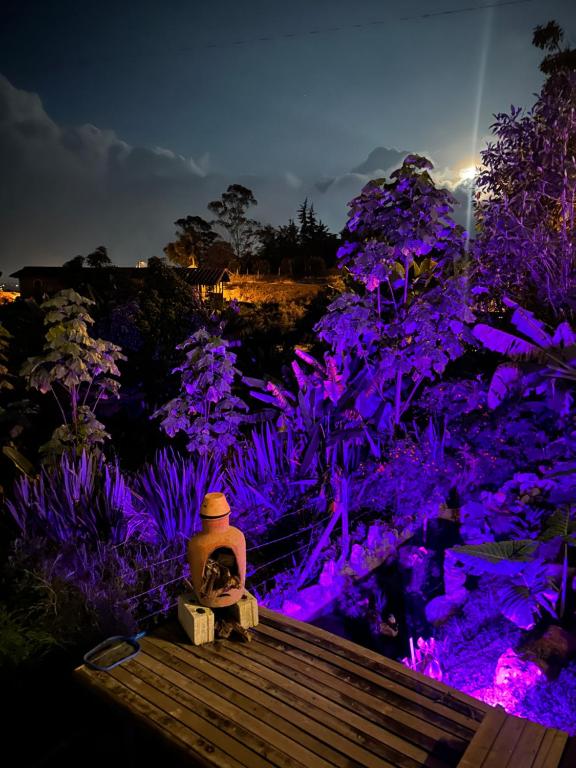 Zahrada ubytování Cabañas con jacuzzi y chimenea - Casa Floral, Marinilla