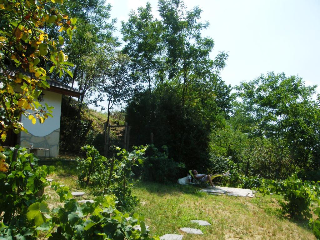 Vonkajšia záhrada v ubytovaní Ferienhaus Leitenhof