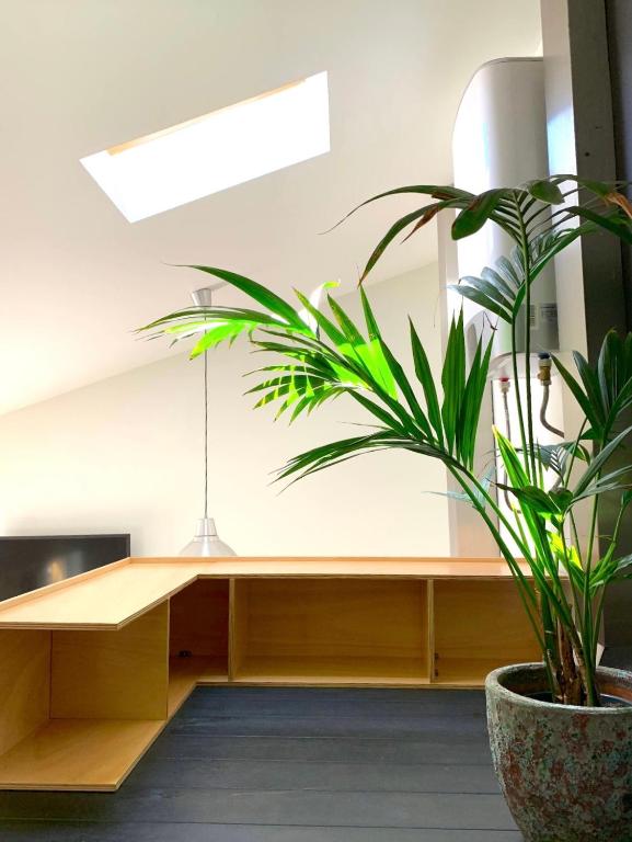 Fred's House Asprela - 7