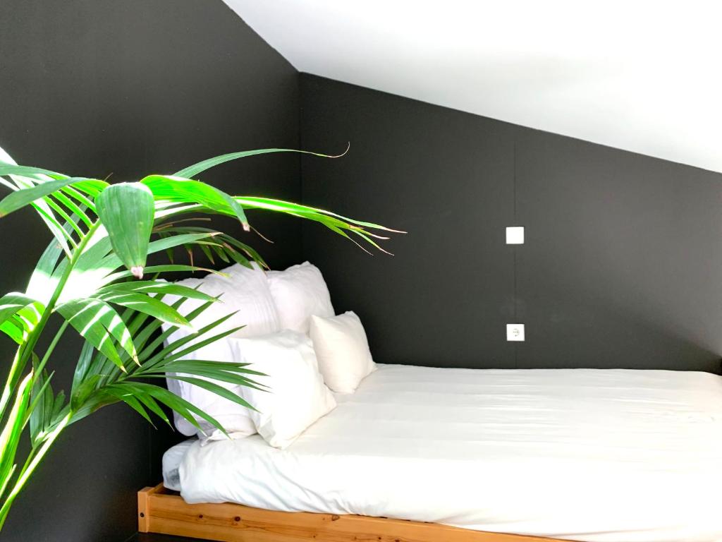 Fred's House Asprela - 5