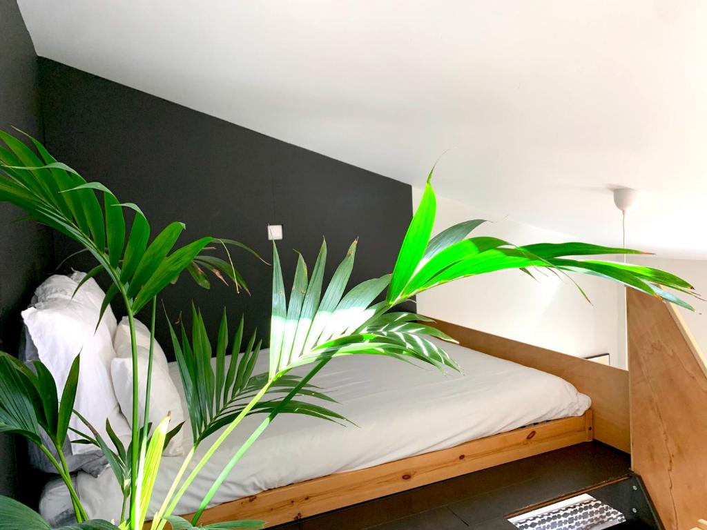 Fred's House Asprela - 6