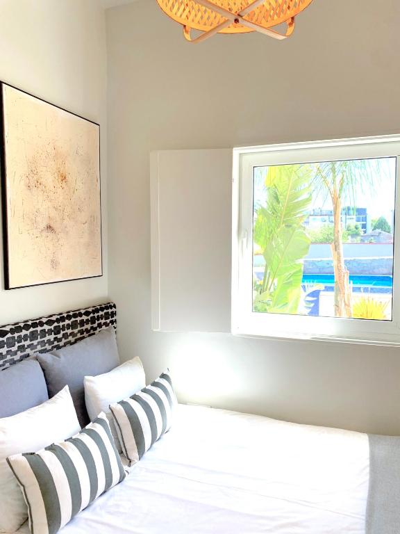 Fred's House Asprela - 3