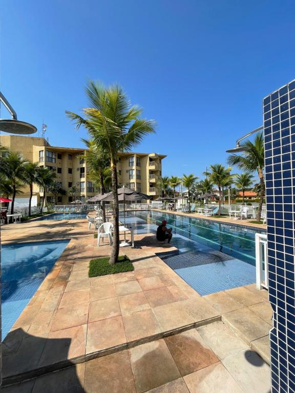 a palm tree sitting next to a swimming pool at Loft Condado Mangaratiba in Mangaratiba
