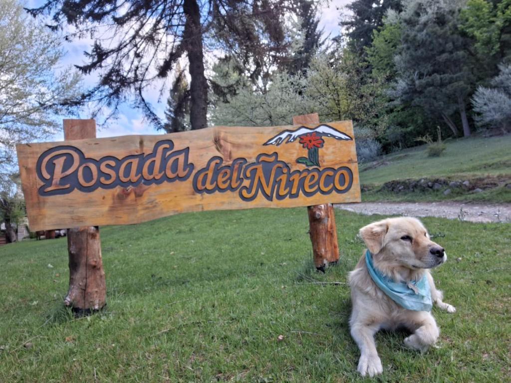 un chien assis dans l'herbe à côté d'un panneau dans l'établissement Posada del Ñireco, à San Carlos de Bariloche