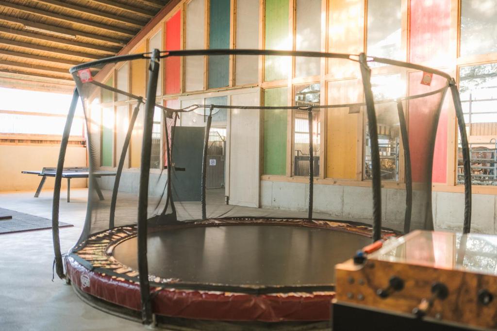 Naktsmītnes Hof Köhne - Haus Waltons 2er pilsētā Šmallenberga fotogalerijas attēls