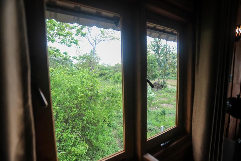 Zahrada ubytování Lion Wood Treehouse