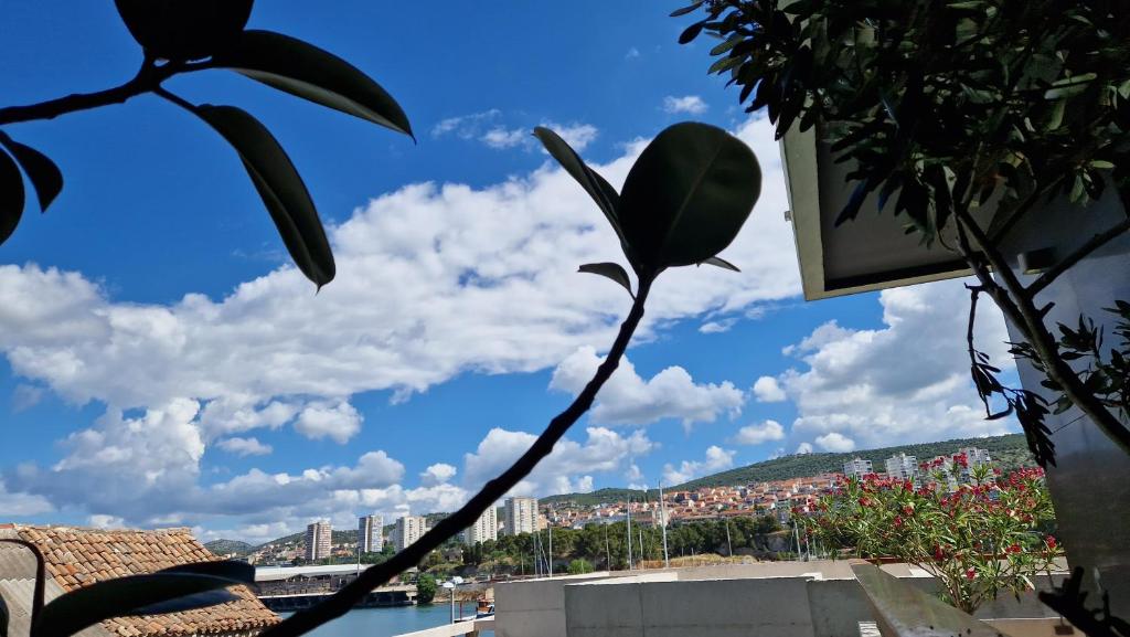 ein Ast mit Blick auf eine Stadt in der Unterkunft Basic Mansion Mandalina in Šibenik