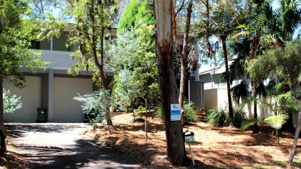 a house with a lot of trees in front of it at 'lillipillies On Dolphin' in Hawks Nest