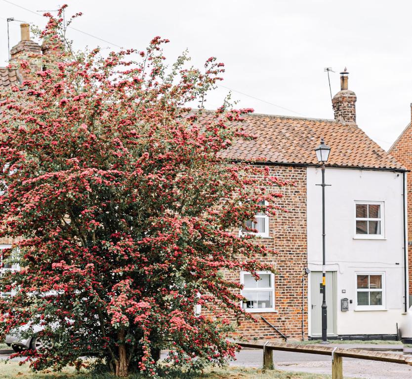 a flowering tree in front of a house at NEW Thirsk Stays - Herriot's Hideaway in Thirsk
