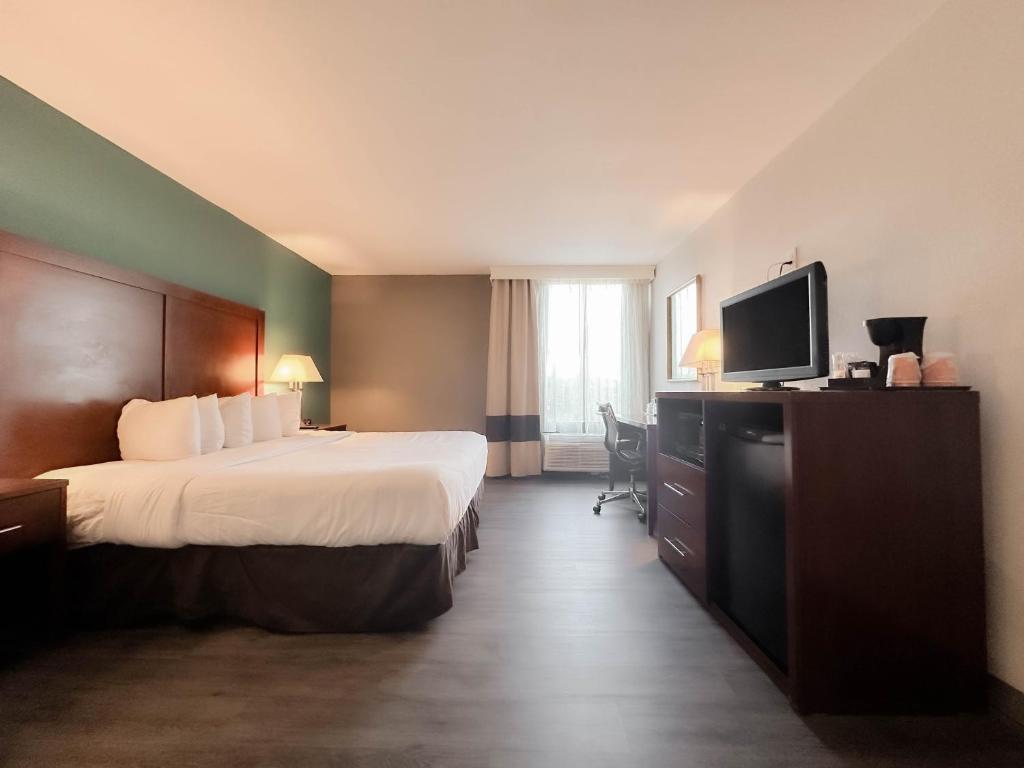 The Adventure Hotel by the Parks photo