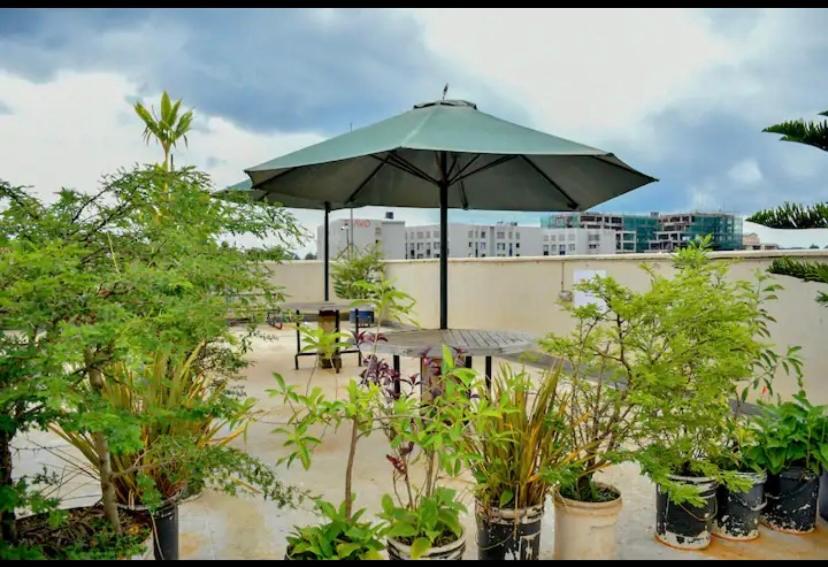 Kiambu的住宿－Tsavo coral bells one bedroom apartment，一个带遮阳伞和桌子及树木的庭院