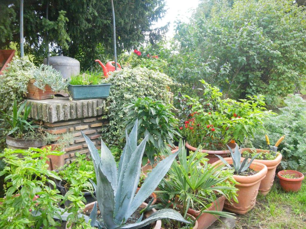 a garden filled with lots of pots of plants at Appartamento Danilla in Maratello
