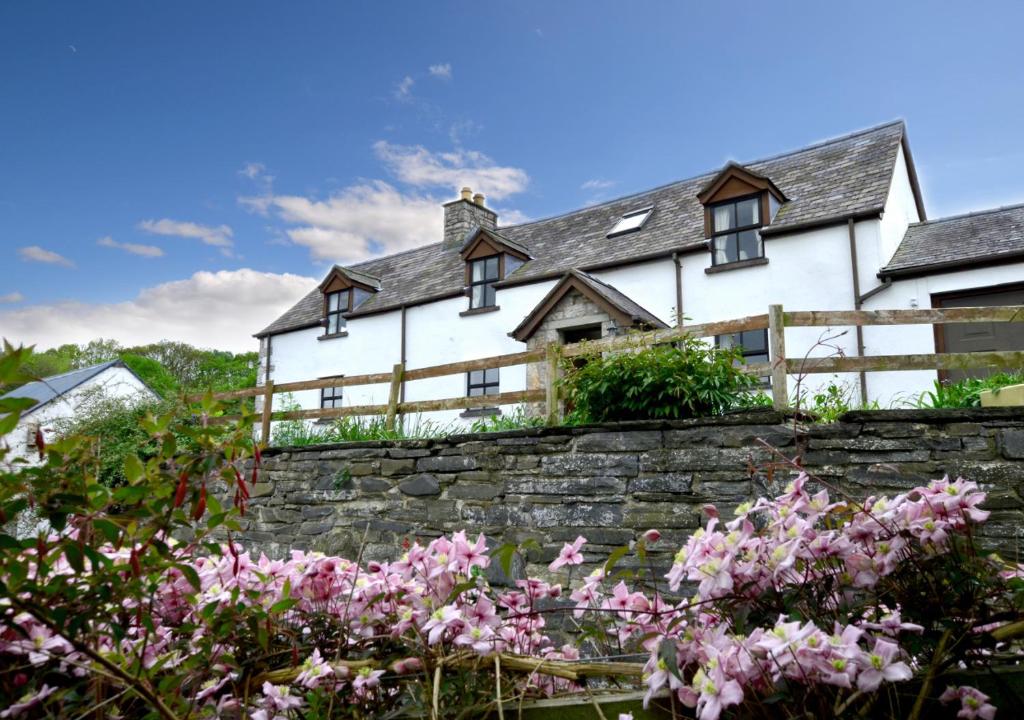 ein weißes Haus mit einer Steinmauer und rosa Blumen in der Unterkunft Hendy in Gwaynynog