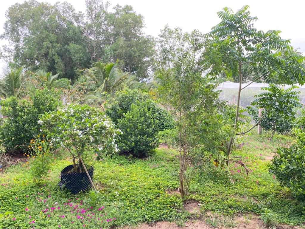 einen Garten mit Bäumen und Blumen auf einem Feld in der Unterkunft Summer Stations Homestay Binh Chau - Ho Coc Beach - Vung Tau in Xuyên Mộc