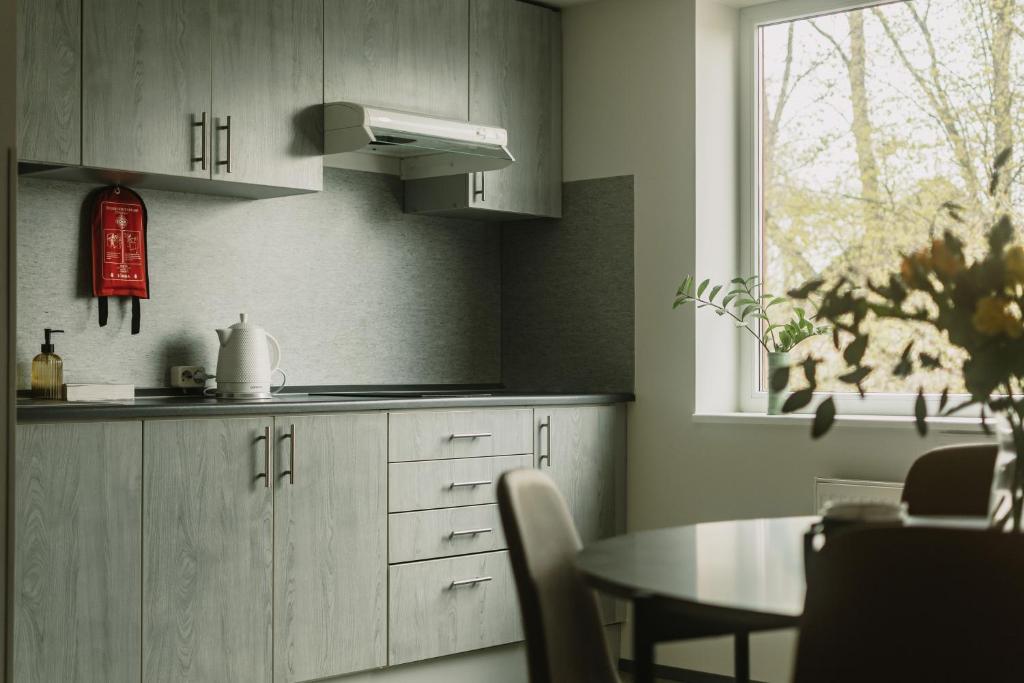 Kuchyň nebo kuchyňský kout v ubytování ROHE Hostel