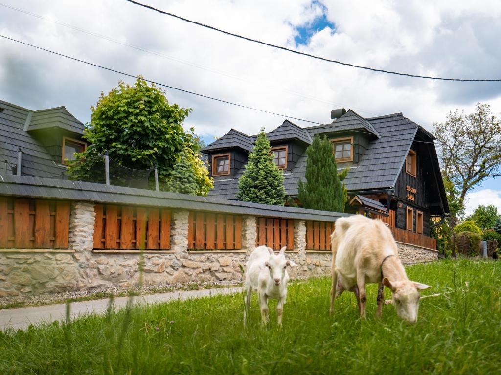 two cows grazing in the grass in front of a house at Drevenička v Ďurčinej - Anna in Ďurčiná