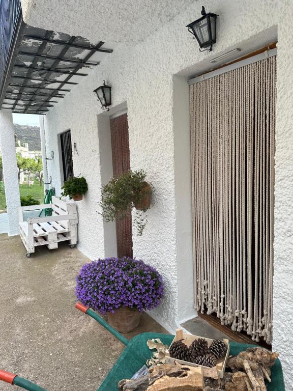 Patio nebo venkovní prostory v ubytování Las Vistas