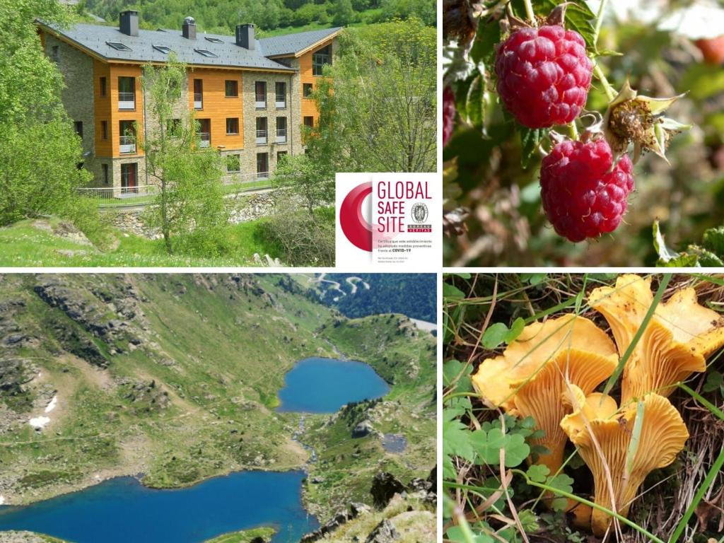 a collage of photos with a building and a lake at ApartHotel RIALB in El Serrat