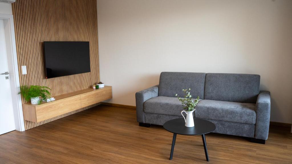 TV a/nebo společenská místnost v ubytování Apartmány Římský vrch