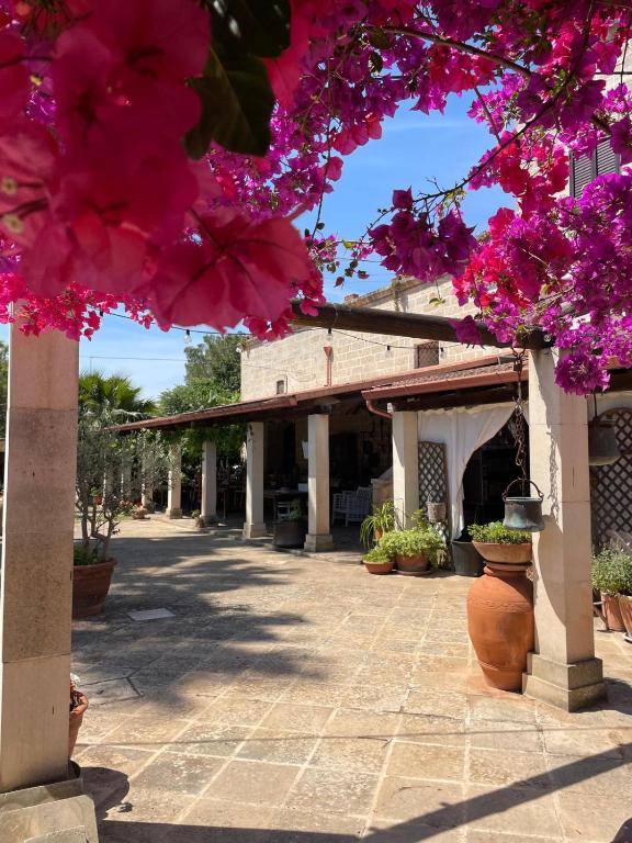 Zahrada ubytování Masseria Scianne