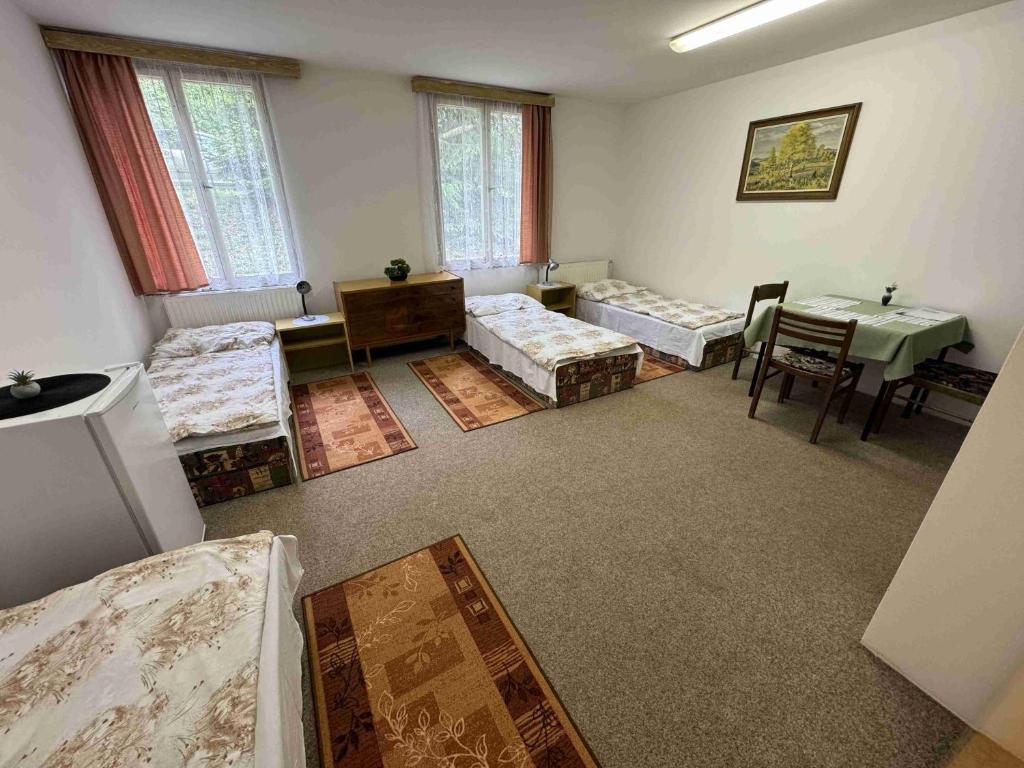 Postel nebo postele na pokoji v ubytování Ubytovna Český Krumlov