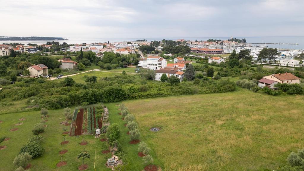 Apartments Mirella - 19