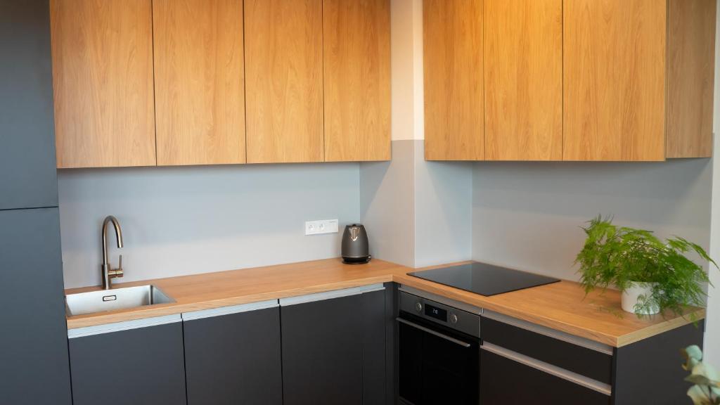 Kuchyň nebo kuchyňský kout v ubytování Apartmány Římský vrch