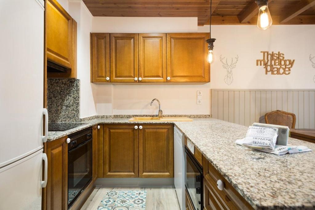 Kuchyň nebo kuchyňský kout v ubytování Luderna - Apartamento Val de Ruda B2 Pradets