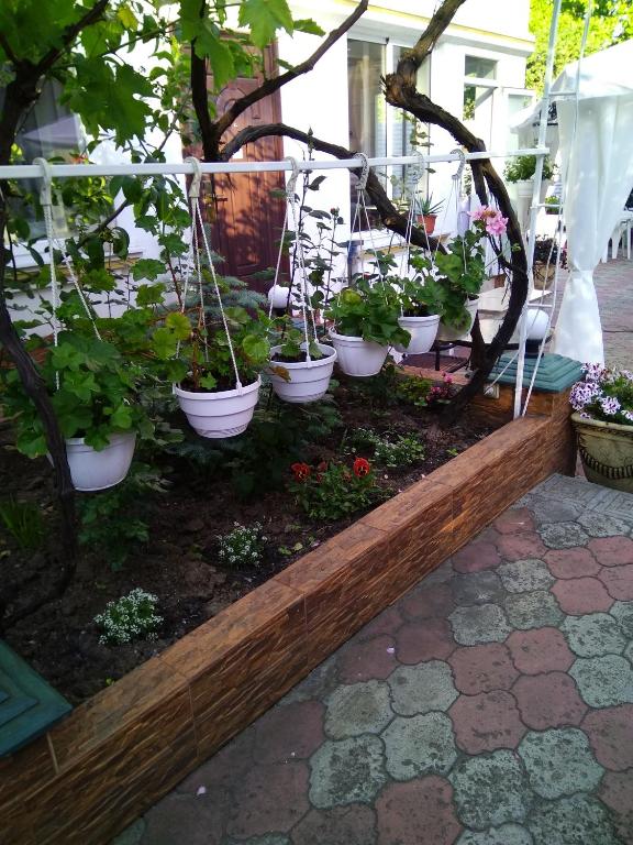 Zahrada ubytování Vilari Odessa