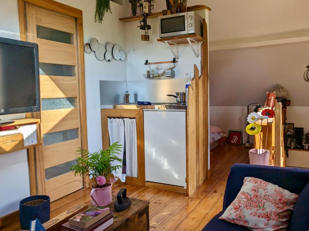 uma sala de estar com uma cozinha com um frigorífico em Les Vieilles Aitres em Sargé Les Le Mans 