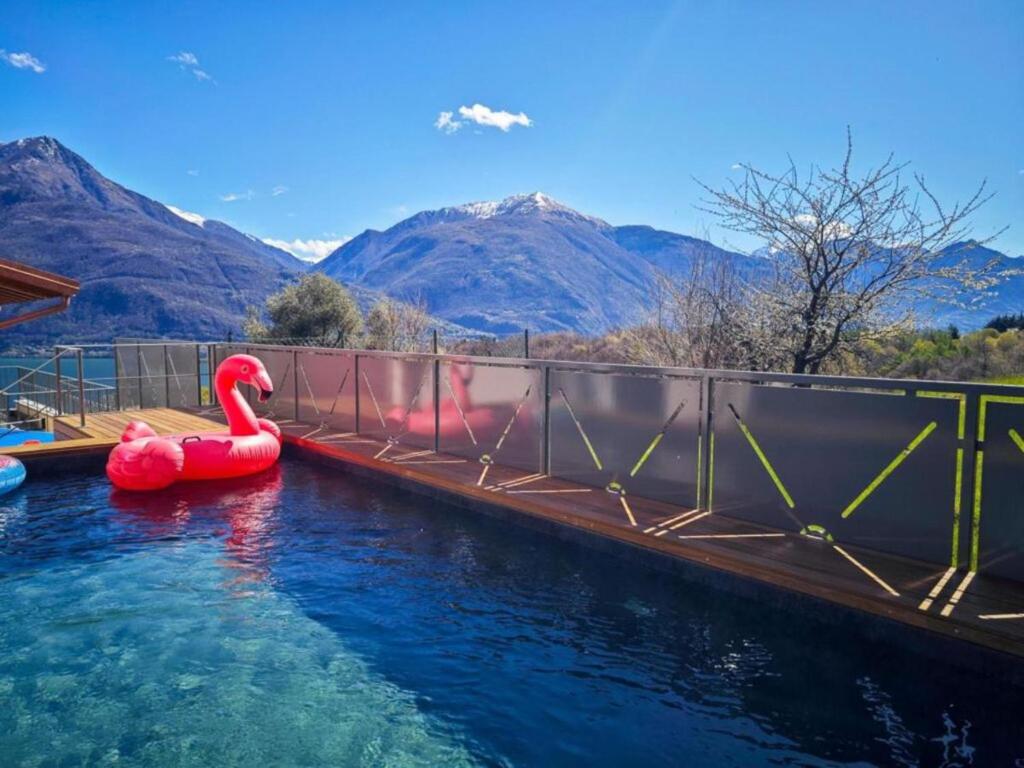 une piscine avec deux flamants gonflables dans l'eau dans l'établissement VILLA DEI VENTI - BREVA by Curtiaffitti, à Pianello Del Lario
