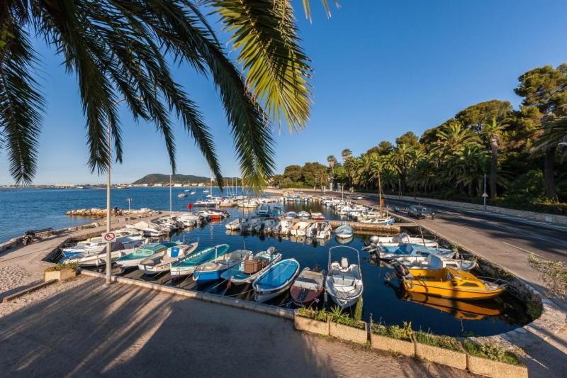 un groupe de bateaux est amarré dans un port dans l'établissement Studio Résidence Port Tamaris, à La Seyne-sur-Mer