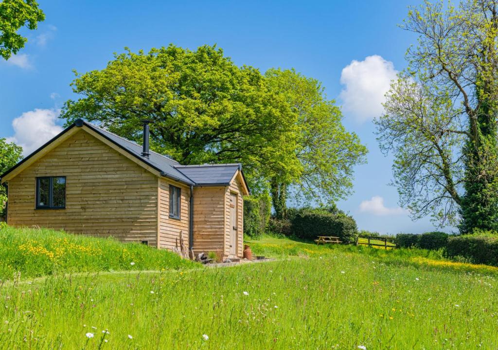 een klein houten huis in een grasveld bij Place Farm Cabin in Okehampton