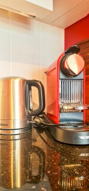 Kuchyň nebo kuchyňský kout v ubytování Bussalp Apartment - Aare Jungfrau AG