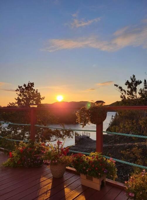 a view of the sunset from a deck with flowers at Hatchet Harbour Vacation Home in Herring Neck