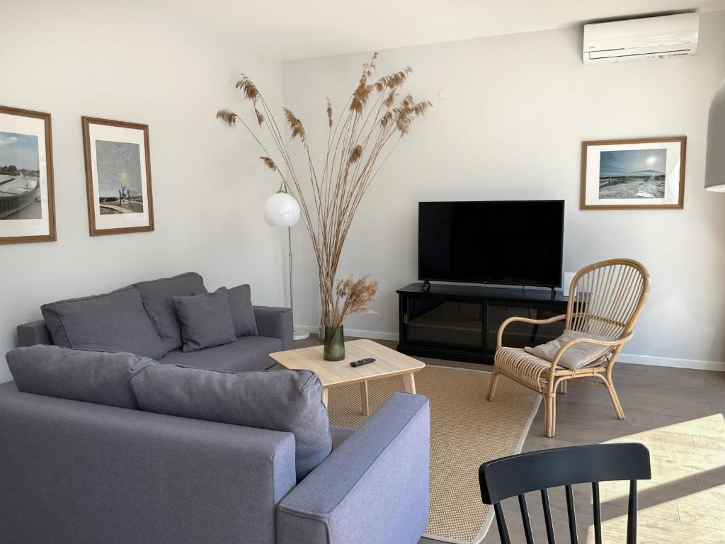 Μια τηλεόραση ή/και κέντρο ψυχαγωγίας στο IVIS House - Cozy Seaside Apartment at "Šventosios Vartai", J-3