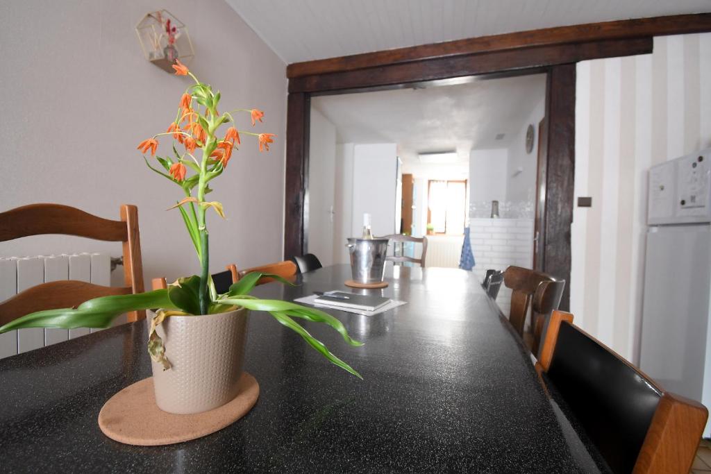 - une table à manger avec une plante au-dessus dans l'établissement Le gîte des copains, à Blénod-lès-Toul