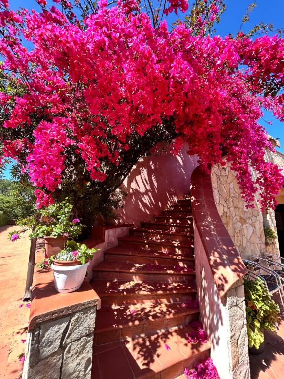 a bunch of pink flowers hanging over a staircase at Hotel Fertilia in Fertilia