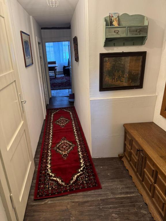 Zur Baumwolle - Resim 15