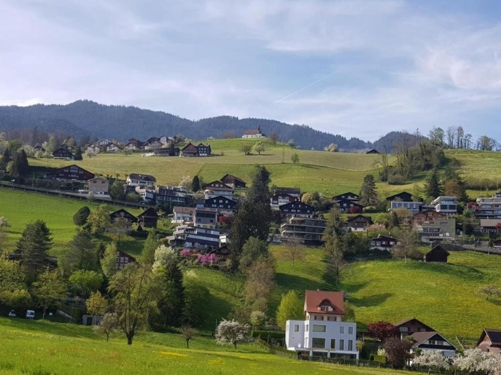 un piccolo villaggio in un campo verde con case di Das Schweizer Haus a Sarnen
