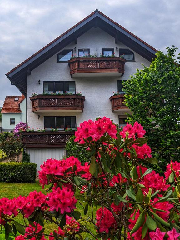 Zahrada ubytování Gästehaus Regina