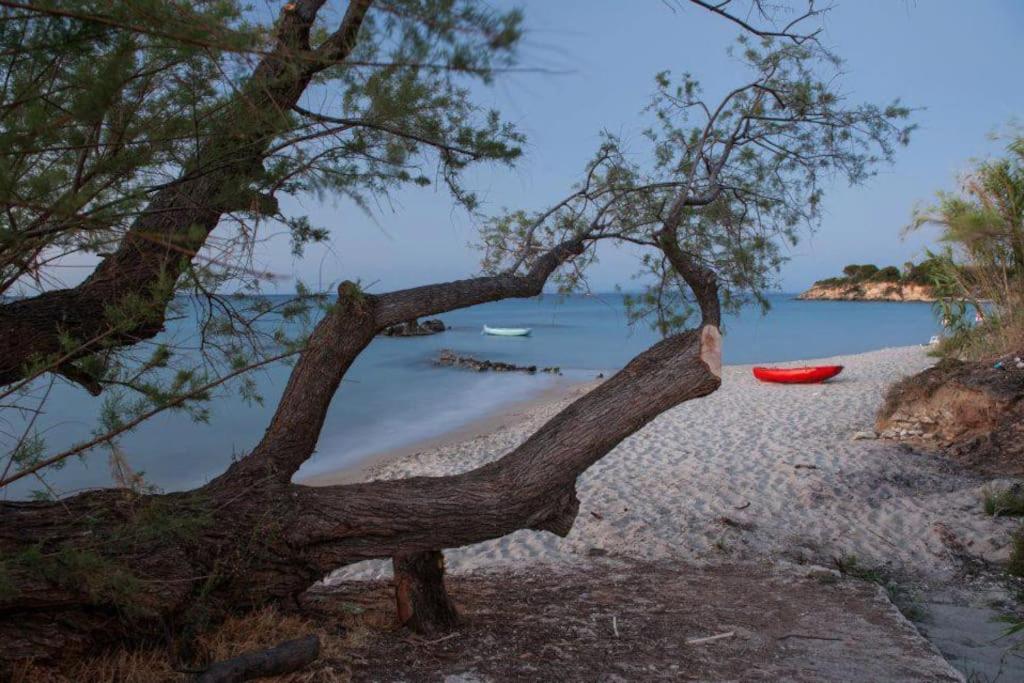a tree on a beach with a red boat in the water at Sea View Studio at Xenios Avlais in Zakynthos Town